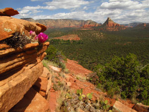 Sedona in spring